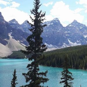 Meet your Posher, Rio